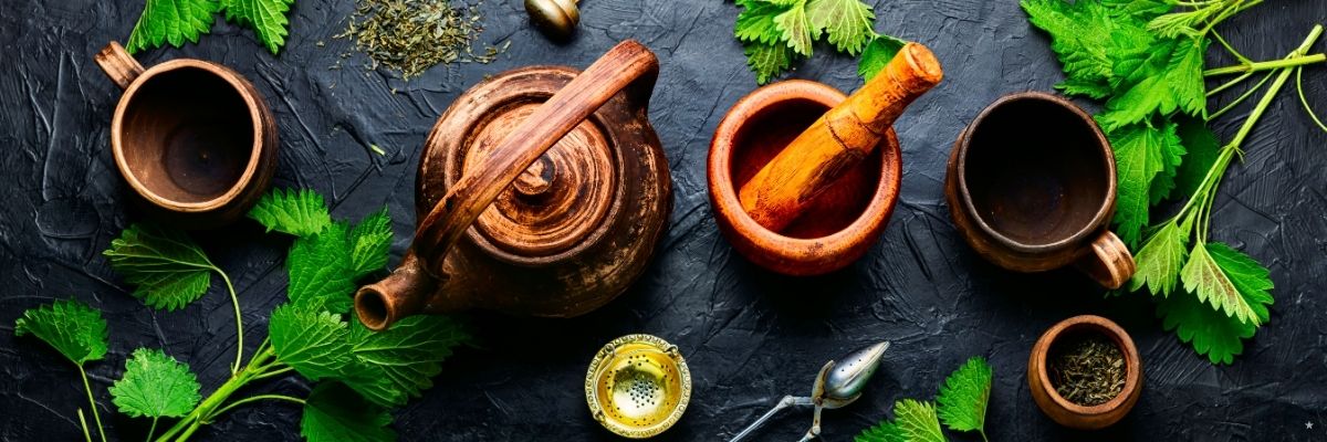 Bilimsel Olarak Desteklenen 10 Bitkisel Sağlık Çözümü