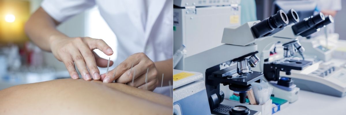 Geleneksel Tıp ve Modern Tıp Arasındaki Farklar