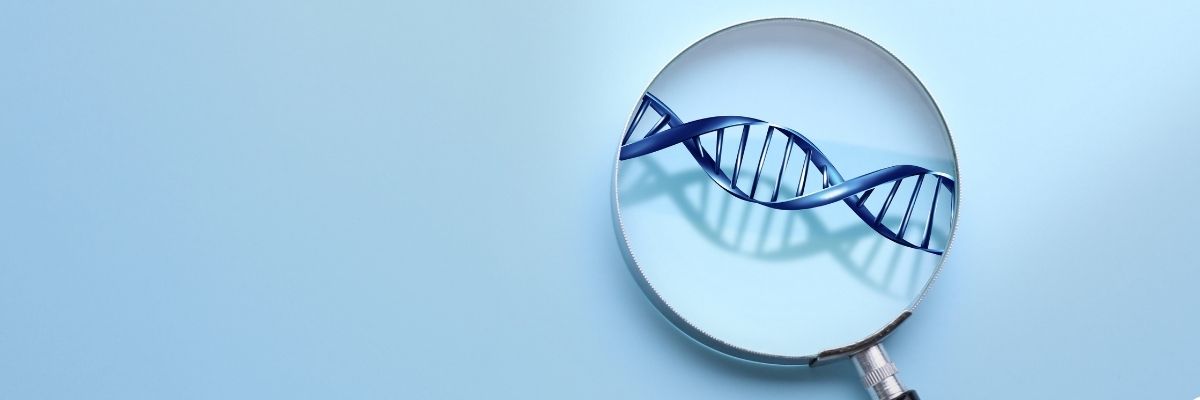 2026'da Genetik Tarama Hastalıkları Önceden Tahmin Etmek