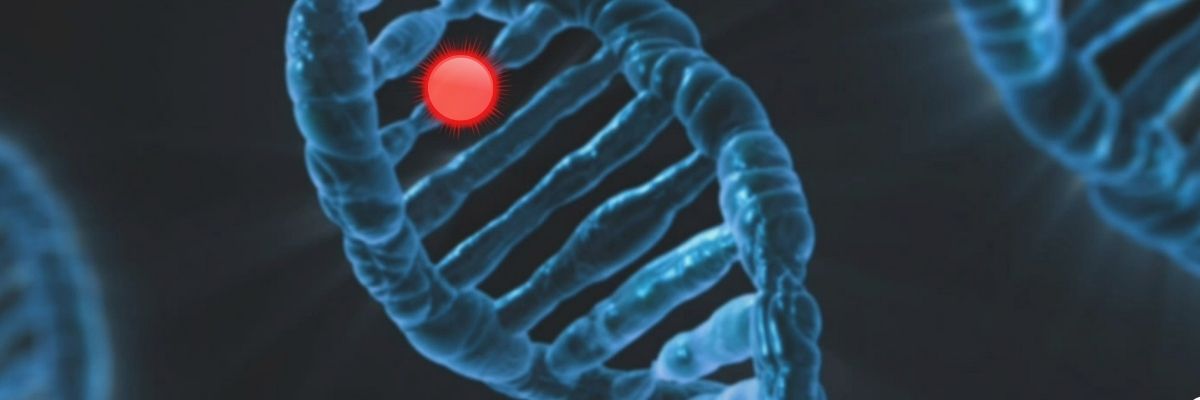 Genetik Veriye Dayalı Hassas Beslenme Dönemi